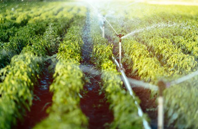 Irrigation System, Installation, & Repairs-Dallas TX Landscape Designs & Outdoor Living Areas-We offer Landscape Design, Outdoor Patios & Pergolas, Outdoor Living Spaces, Stonescapes, Residential & Commercial Landscaping, Irrigation Installation & Repairs, Drainage Systems, Landscape Lighting, Outdoor Living Spaces, Tree Service, Lawn Service, and more. Irrigation System, Installation, & Repairs-Dallas TX Landscape Designs & Outdoor Living Areas-We offer Landscape Design, Outdoor Patios & Pergolas, Outdoor Living Spaces, Stonescapes, Residential & Commercial Landscaping, Irrigation Installation & Repairs, Drainage Systems, Landscape Lighting, Outdoor Living Spaces, Tree Service, Lawn Service, and more.